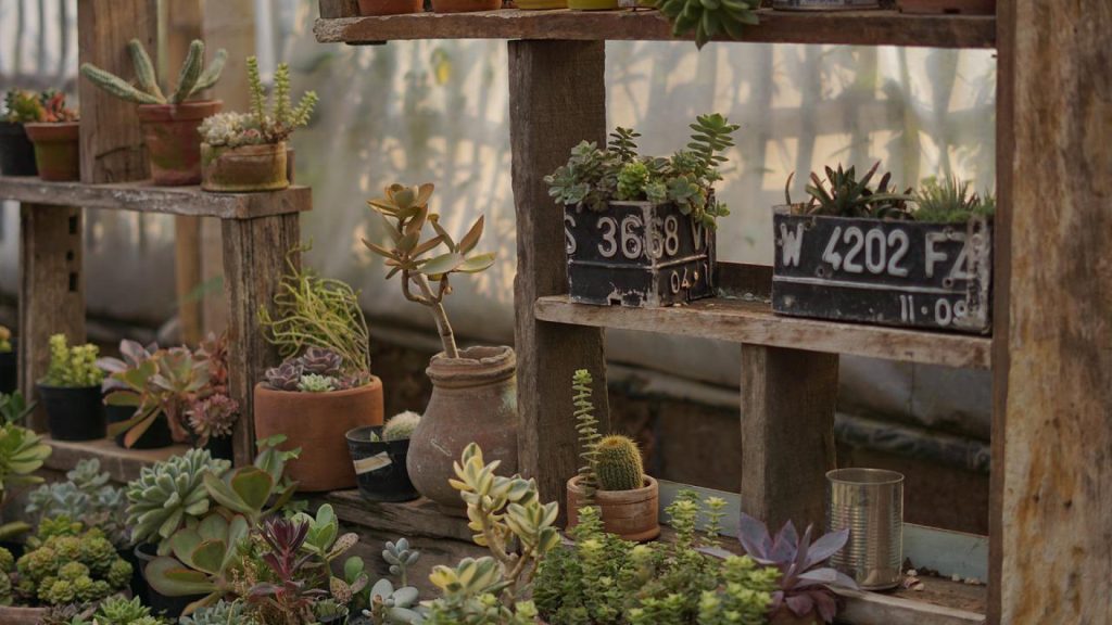 Comment procéder à la mise en place de votre jardin potager bio dans votre logement ?