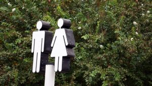 Les toilettes sèches, idéales pour l'écologie
