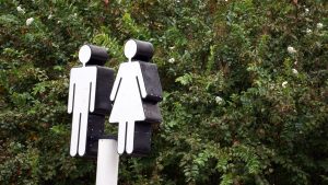 Les toilettes sèches, idéales pour l'écologie