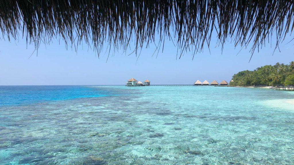 Explorer l’île Maurice : entre plages, montagnes et réserves naturelles