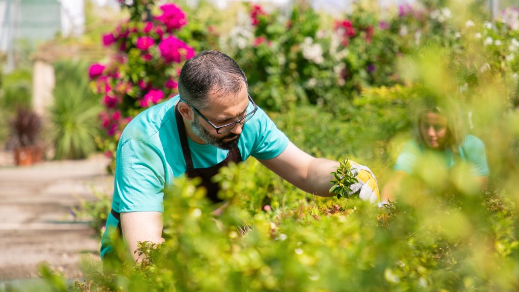 Comment choisir un jardinier à domicile fiable et qualifié ?