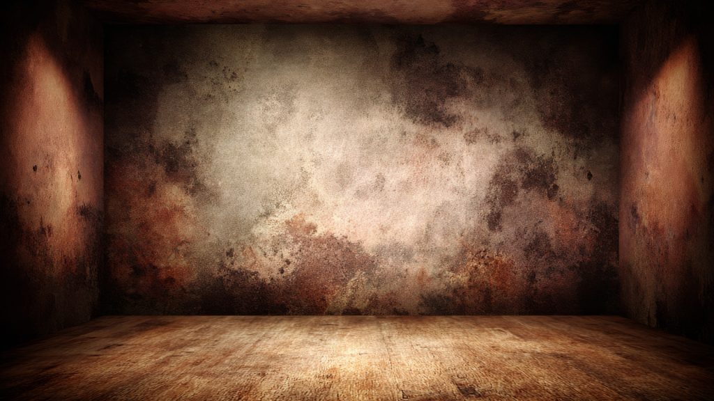 Mérule dans les caves : savoir quand solliciter un professionnel
